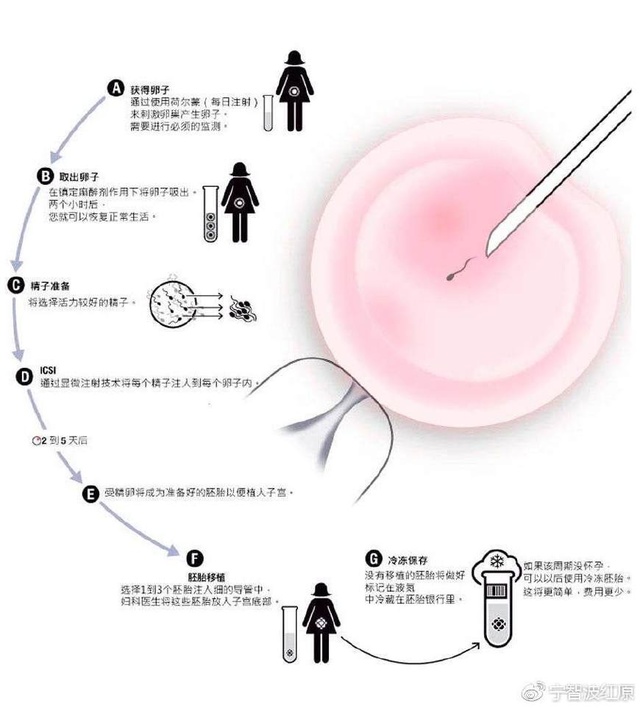 许昌捐卵机构公司